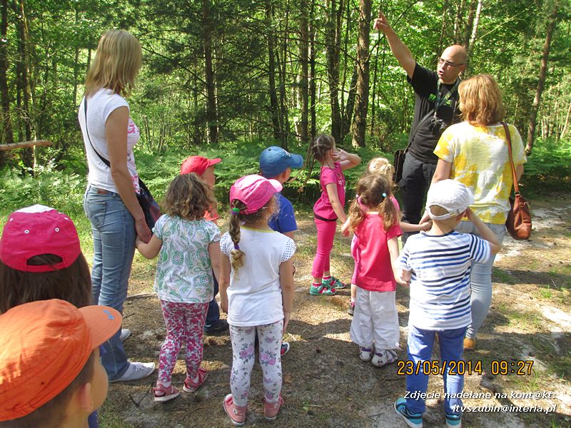 Motylki wiedzą, jak pomagać jeżom