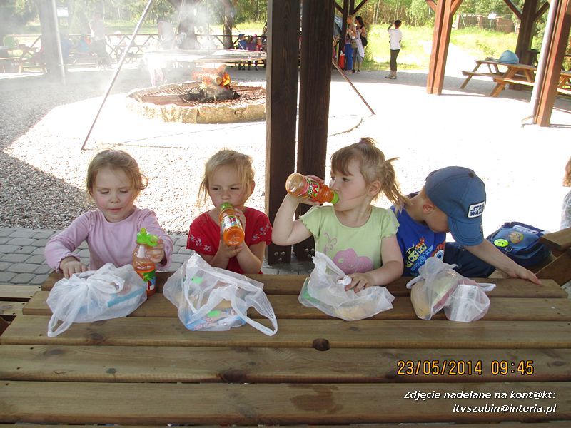 Motylki wiedzą, jak pomagać jeżom