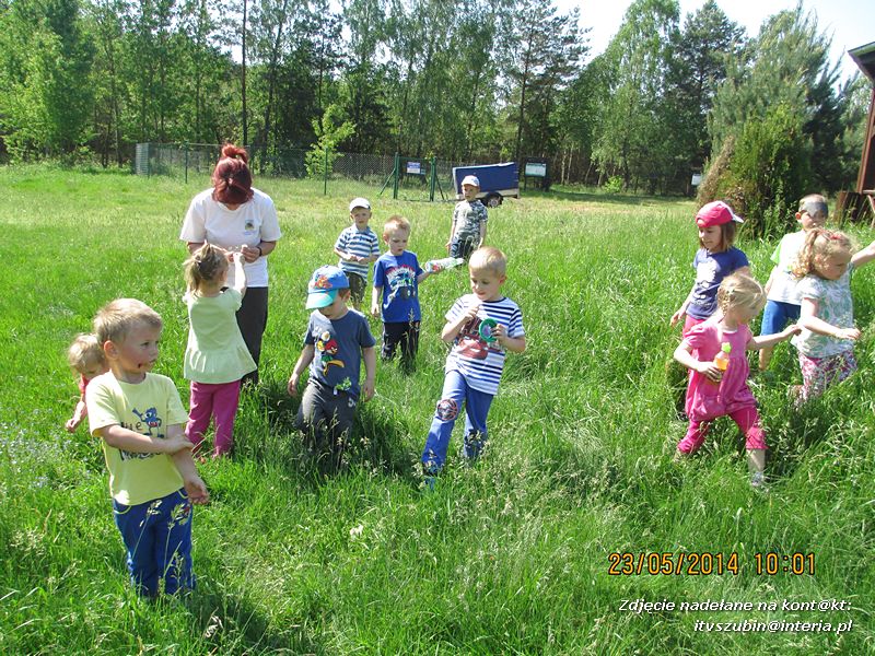 Motylki wiedzą, jak pomagać jeżom
