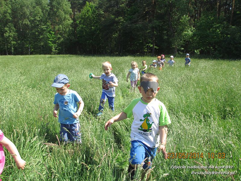 Motylki wiedzą, jak pomagać jeżom