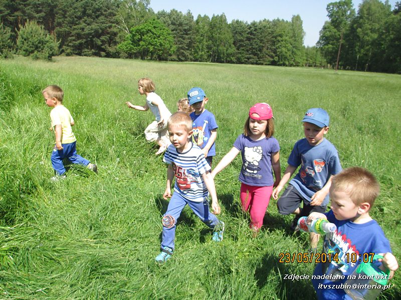 Motylki wiedzą, jak pomagać jeżom