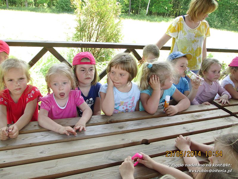 Motylki wiedzą, jak pomagać jeżom