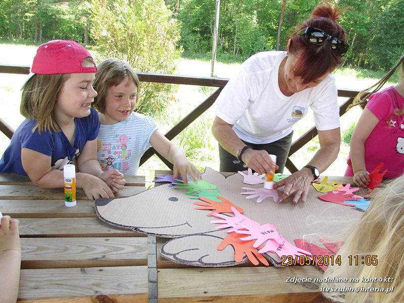 Motylki wiedzą, jak pomagać jeżom