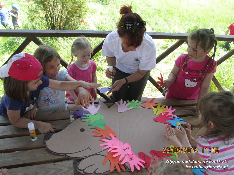 Motylki wiedzą, jak pomagać jeżom