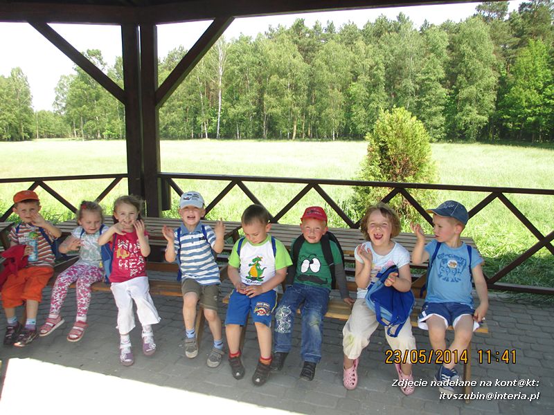 Motylki wiedzą, jak pomagać jeżom