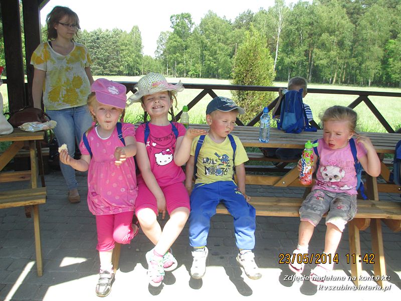 Motylki wiedzą, jak pomagać jeżom