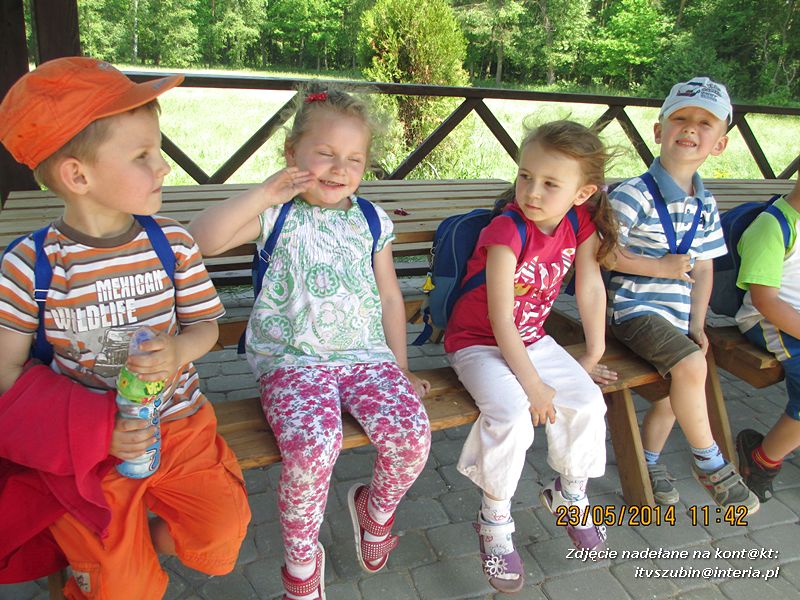 Motylki wiedzą, jak pomagać jeżom