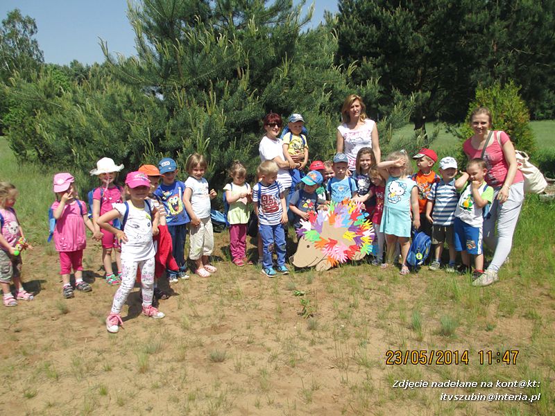 Motylki wiedzą, jak pomagać jeżom