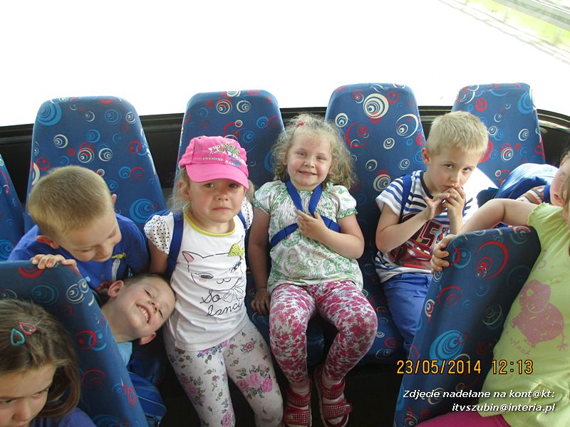 Motylki wiedzą, jak pomagać jeżom