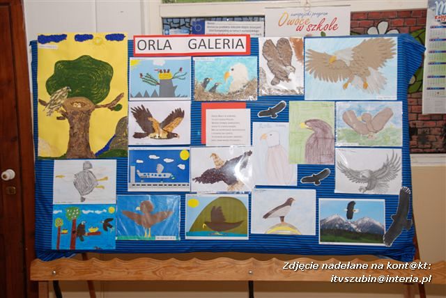 Mamy bzika na punkcie orlika - Dzień Orła w Kołaczkowie