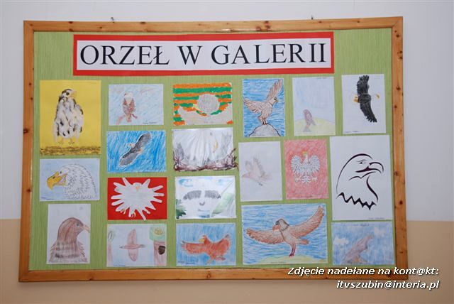 Mamy bzika na punkcie orlika - Dzień Orła w Kołaczkowie