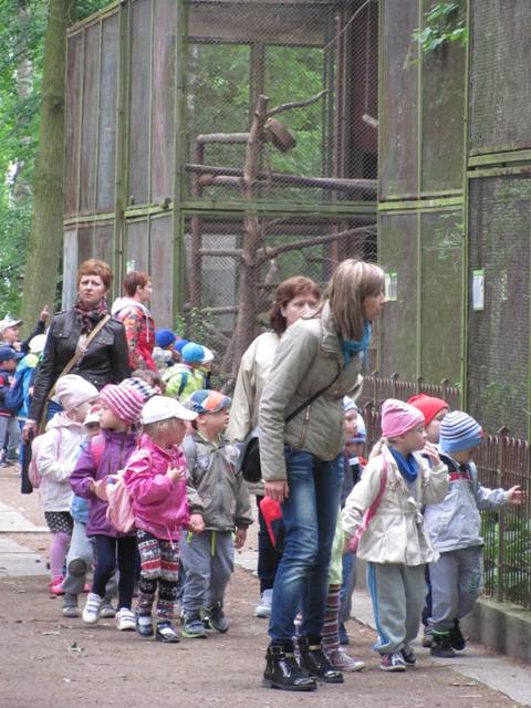 Przedszkolaki z SP3 z Szubina w ZOO w Myślęcinku