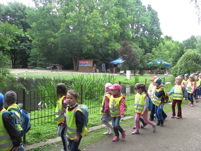 Przedszkolaki z SP3 z Szubina w ZOO w Myślęcinku