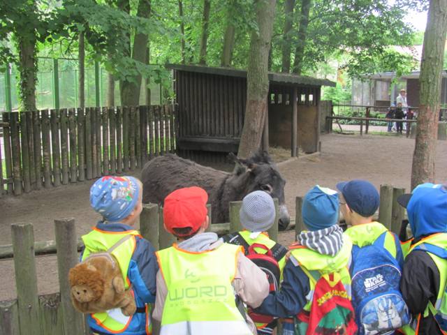 Przedszkolaki z SP3 z Szubina w ZOO w Myślęcinku
