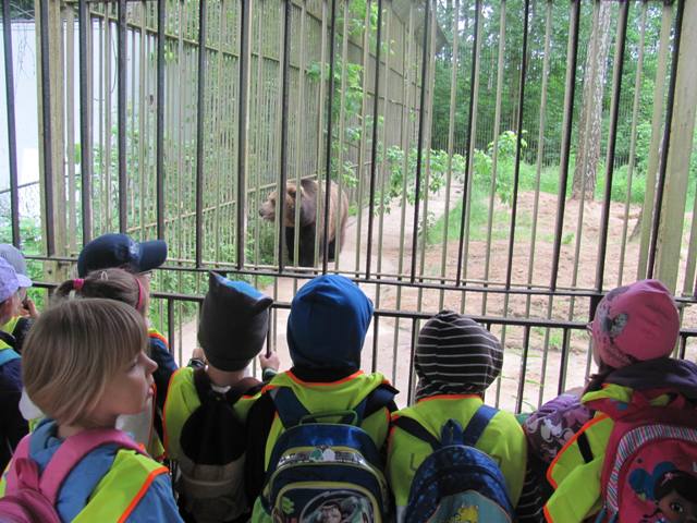 Przedszkolaki z SP3 z Szubina w ZOO w Myślęcinku