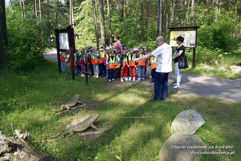 W Myślęcinku fajnie jest