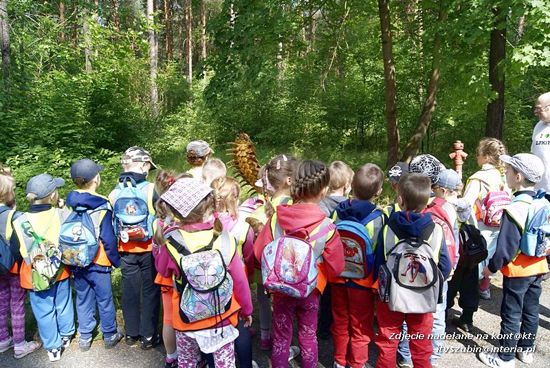 W Myślęcinku fajnie jest