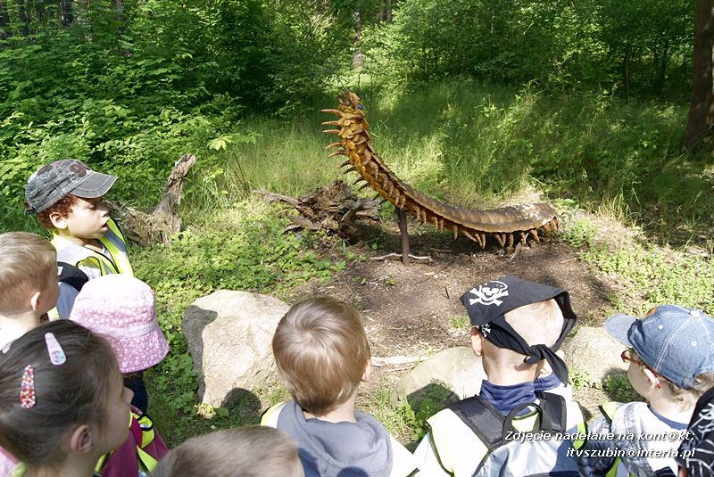 W Myślęcinku fajnie jest