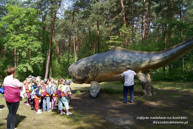 W Myślęcinku fajnie jest