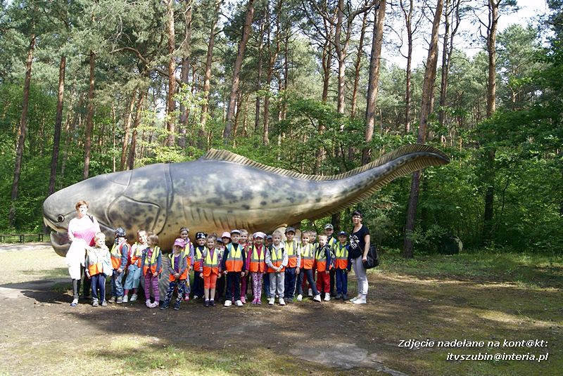 W Myślęcinku fajnie jest