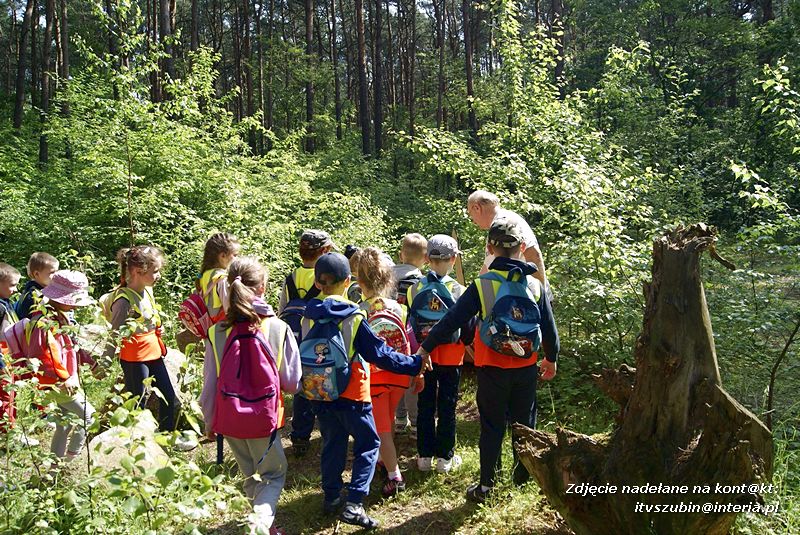 W Myślęcinku fajnie jest