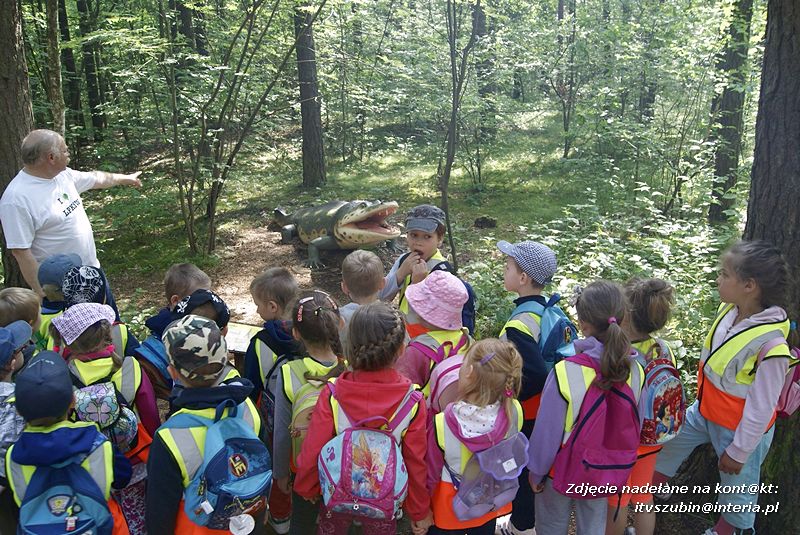 W Myślęcinku fajnie jest