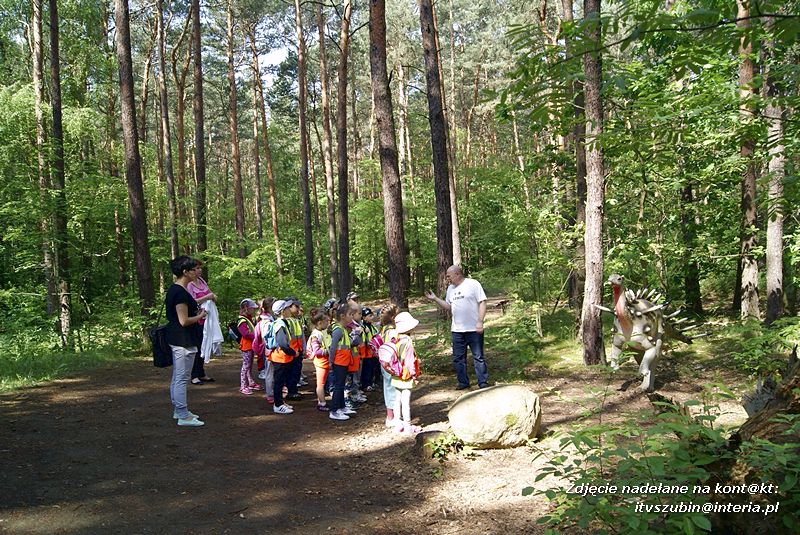 W Myślęcinku fajnie jest