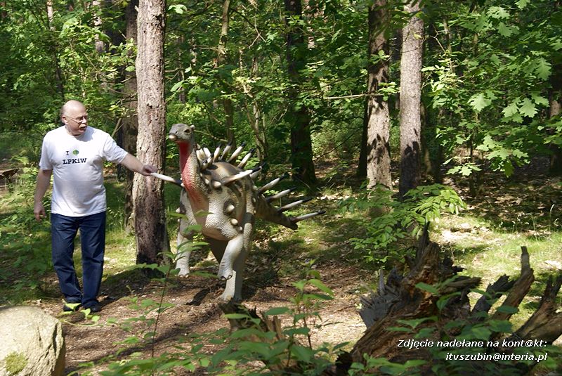 W Myślęcinku fajnie jest