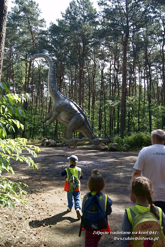W Myślęcinku fajnie jest