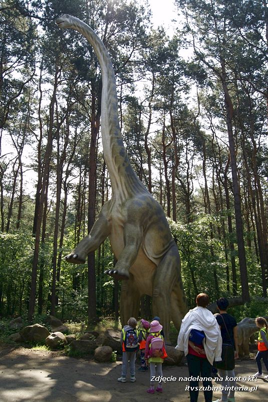 W Myślęcinku fajnie jest