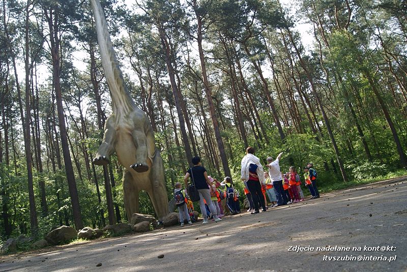W Myślęcinku fajnie jest