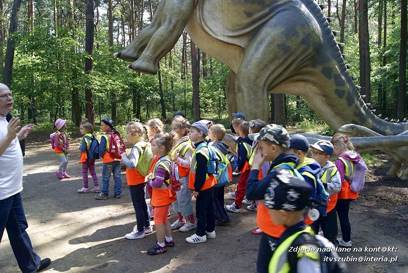 W Myślęcinku fajnie jest