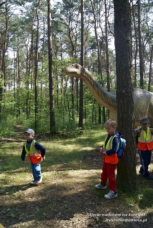 W Myślęcinku fajnie jest