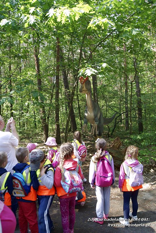 W Myślęcinku fajnie jest