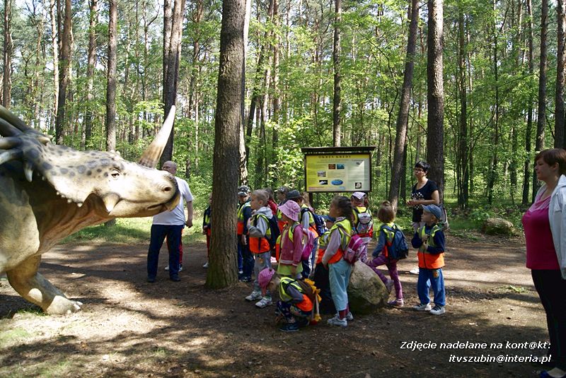 W Myślęcinku fajnie jest