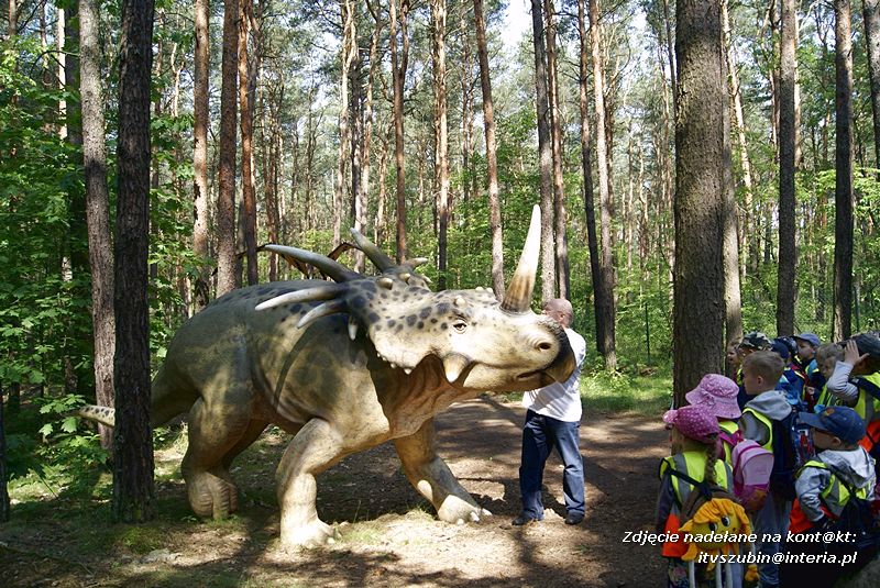 W Myślęcinku fajnie jest