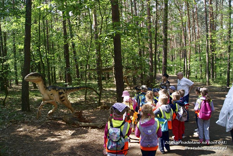 W Myślęcinku fajnie jest