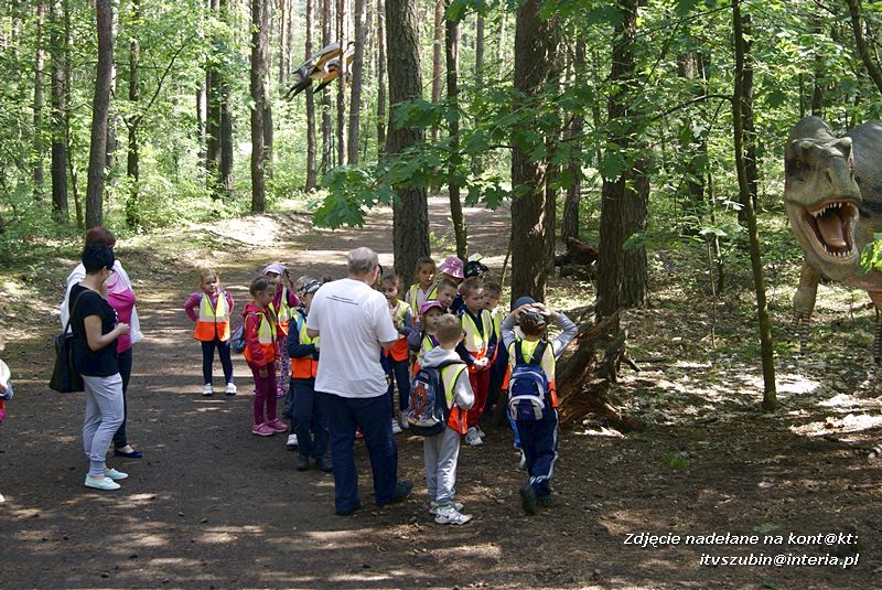 W Myślęcinku fajnie jest