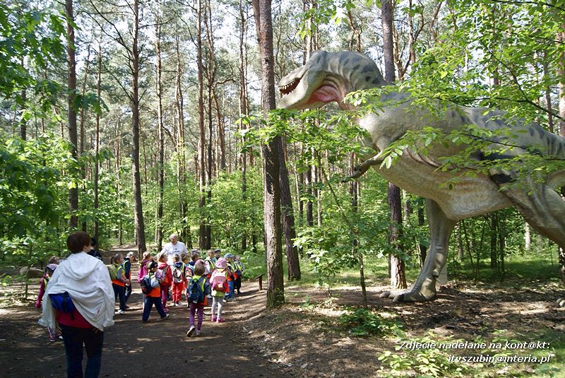 W Myślęcinku fajnie jest