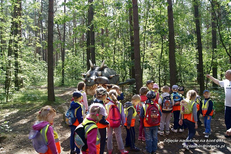 W Myślęcinku fajnie jest