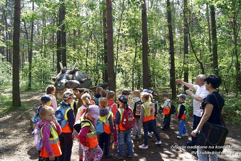 W Myślęcinku fajnie jest
