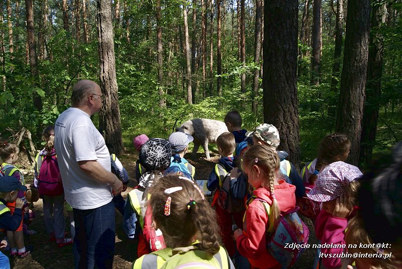 W Myślęcinku fajnie jest