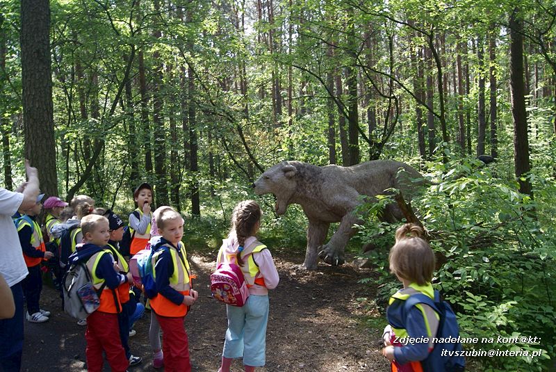 W Myślęcinku fajnie jest