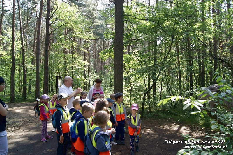 W Myślęcinku fajnie jest