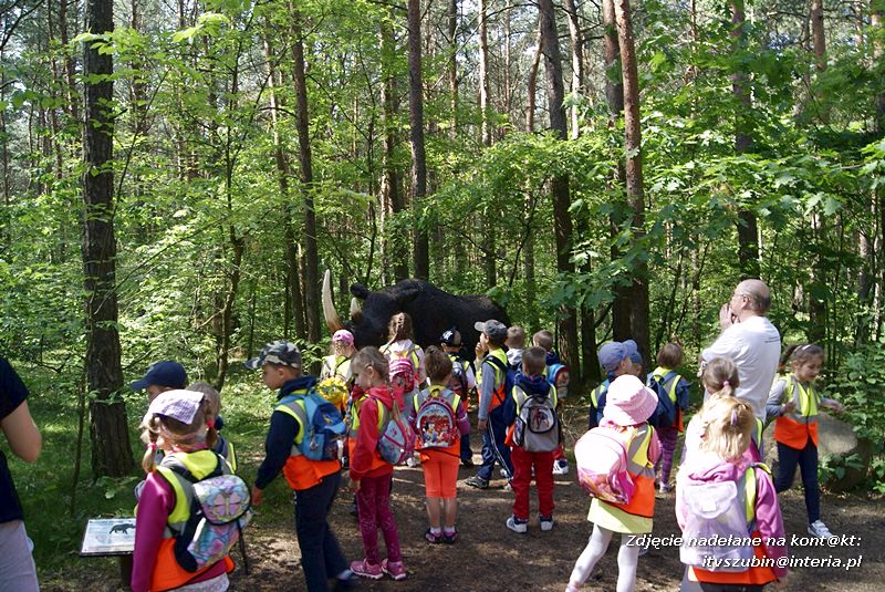 W Myślęcinku fajnie jest