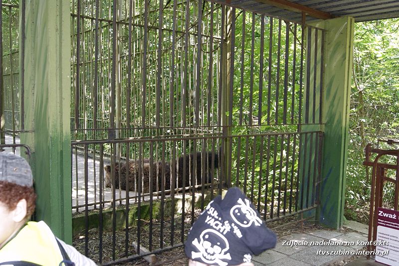 W Myślęcinku fajnie jest