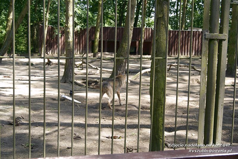 W Myślęcinku fajnie jest