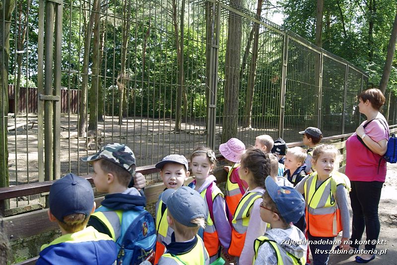 W Myślęcinku fajnie jest