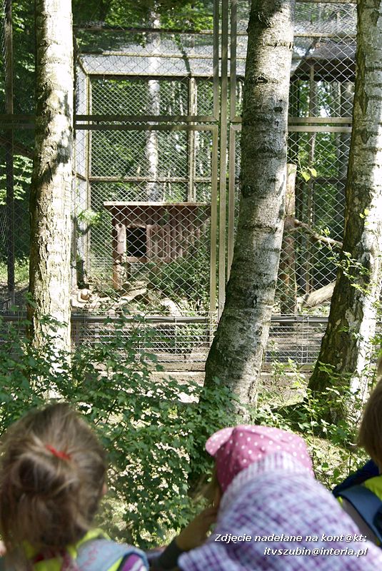 W Myślęcinku fajnie jest