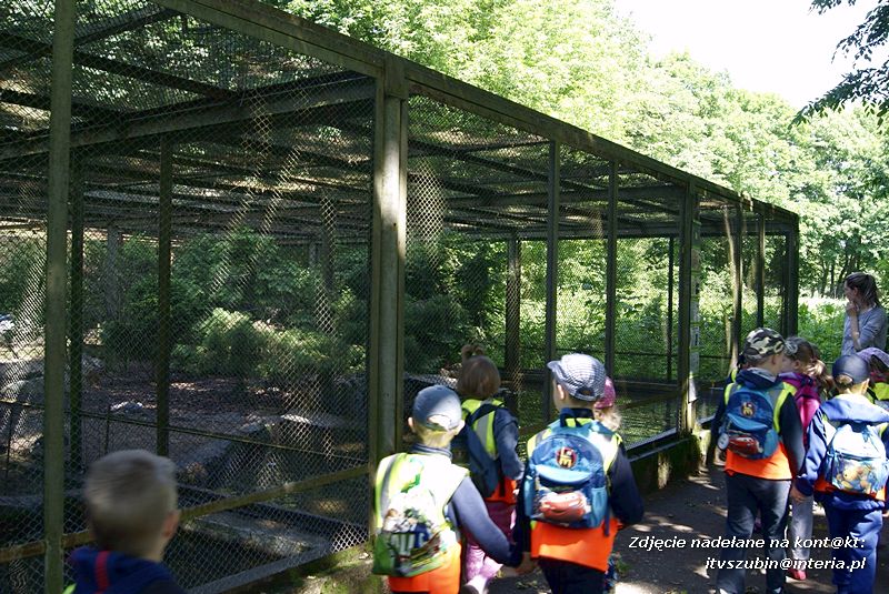 W Myślęcinku fajnie jest